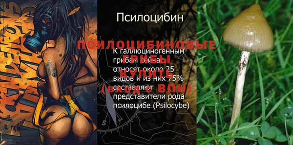 шишки Баксан