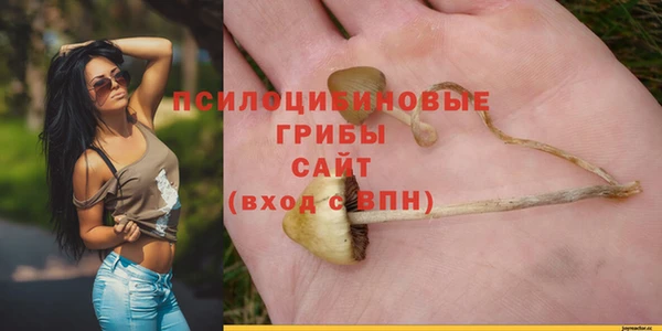 шишки Баксан