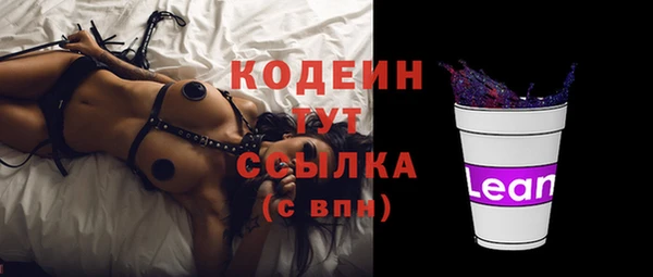 шишки Баксан