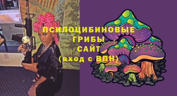 прущие крисы Балахна