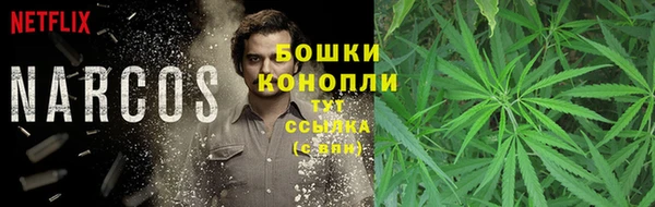 шишки Баксан