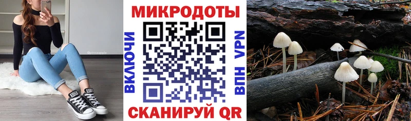 Псилоцибиновые грибы Psilocybine cubensis  Кировск 