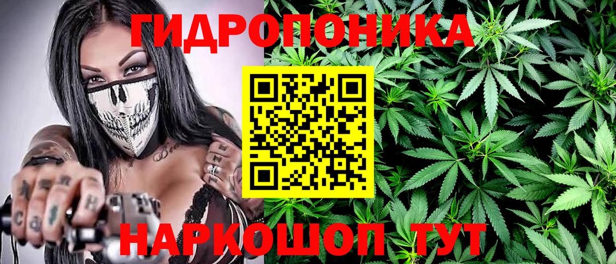 Каннабис планчик  Канабис марихуана  Вход с VPN  Каннабис MAZAR  Кировск  Канабис Bruce Banner 